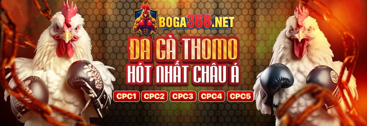 Hình ảnh minh họa các quy tắc chung và tính minh bạch của Shbet5 Login