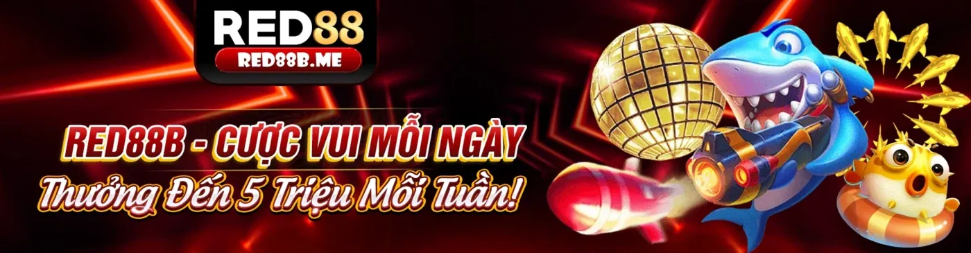 SHBET5 thu thập dữ liệu