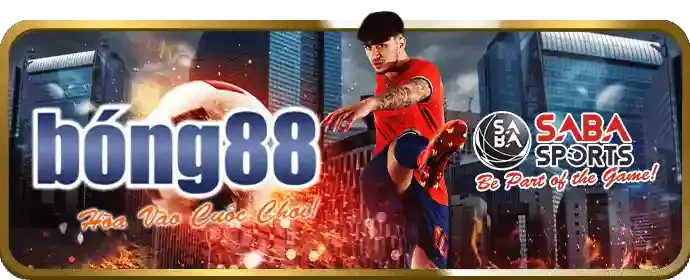Hỗ trợ toàn diện